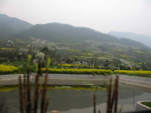 跑馬嶺野生動物園 景觀