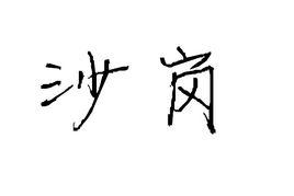 沙崗村[河南省滑縣留固鎮沙崗村]