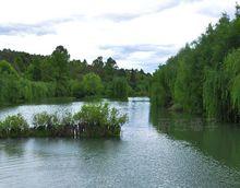 麗江黑龍潭公園