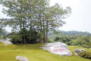 廣東內伶仃福田保護區