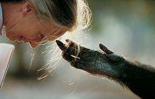 Jane goodall