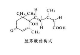aba[脫落酸]