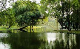 李子園森林公園