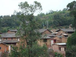 張家灣村[雲南省雄市東瓜鎮下轄村]