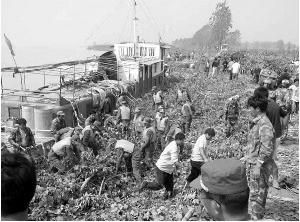 1958年黃河洪水