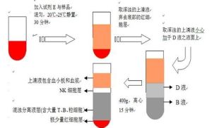 粒細胞趨化肽