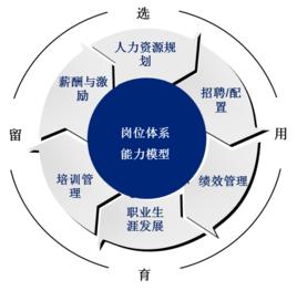 人力資源4P模型