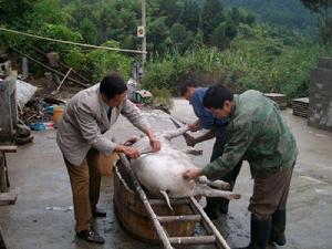 陳家岩村風光