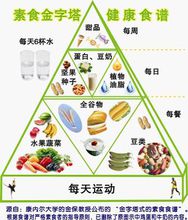 素食金字塔