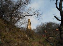 岐山法華寺照片