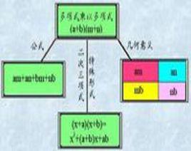 多項式乘法法則