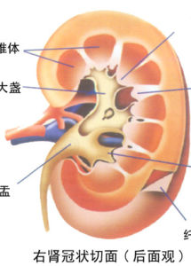 腎炎綜合徵