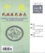 《中國民族醫藥雜誌》