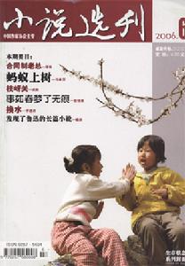 《小說選刊》