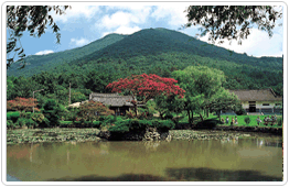 雲林山房 