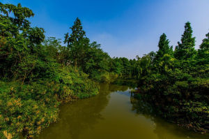 浣花溪公園