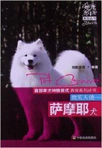 微笑天使：薩摩耶犬