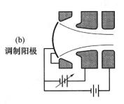 聚焦極