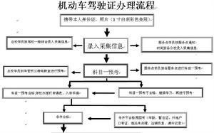 學車流程圖片之一