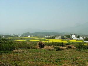 陳村