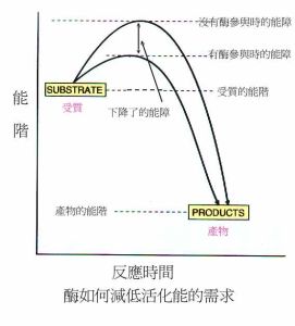 可逆反應