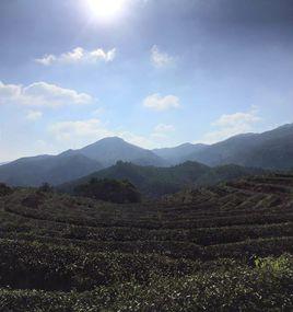 大霧山[福建泉州泉港區景點]