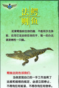 鱷魚法則