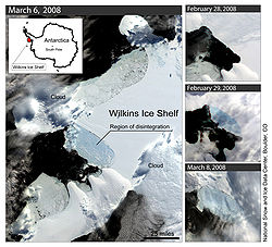 2008年威爾金斯冰架一部分倒塌的情況
