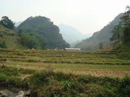 黑龍村[雲南省昭通威信縣羅布鄉黑龍村委會]