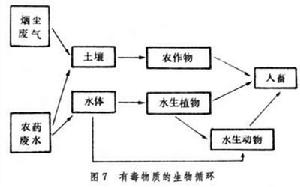 生物地球化學循環