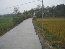 鄉村道路