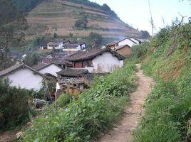 小丫口村[雲南省普洱市景東縣大朝山東鎮小丫口村]