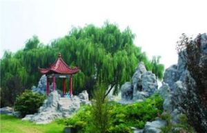 徐州故黃河公園