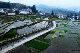 中峰鎮[湖北省十堰市竹谿縣中峰鎮]