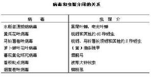 蟲媒傳染