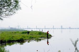 漢江湖i北襄陽段