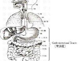 消化道激惹