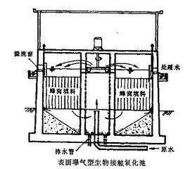 生物氧化