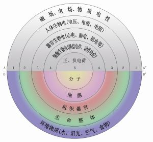 五環圖--王玉玲博士所創