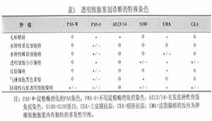 毛根鞘癌