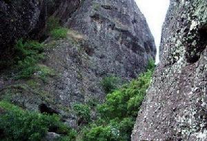 桂山原始森林風景區