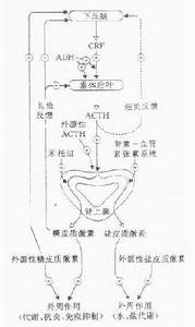 抗利尿激素分泌異常綜合症