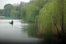 德清下渚湖國家濕地公園景色