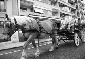 告別汽車，騎腳踏車、滑滑板、或乘馬車徜徉在日內瓦市區湖畔，享受生活慢滋味