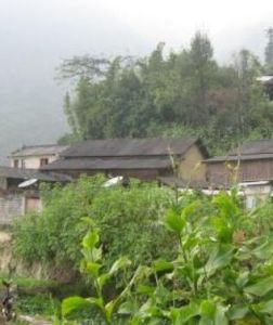 蘆子山村