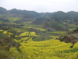 靈山村[安徽省黃山市呈坎鎮靈山村]