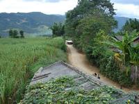 進村道路