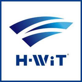 H-WiT