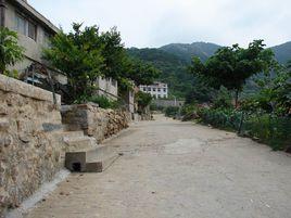 山東村[福建省漳州市東山縣陳城鎮山東村]