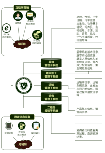 天山呦呦溯源